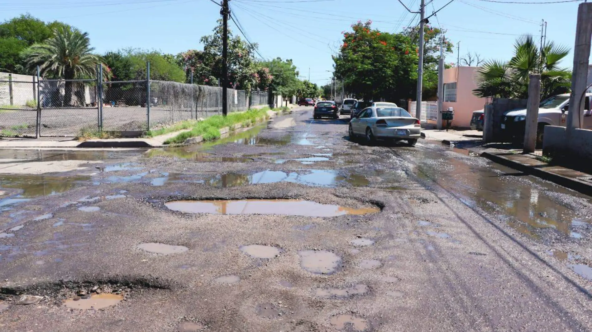 Baches y fuga